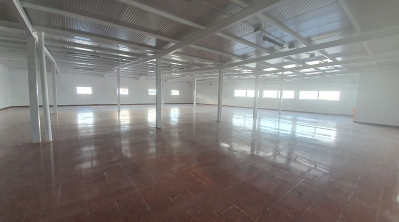 Málaga - Málaga - 1308m2
