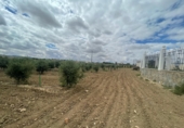 Chalet independiente con terreno en venta en la España, Mora, ref: TR252306 foto