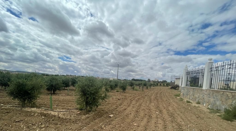 Toledo - Mora - 248m2