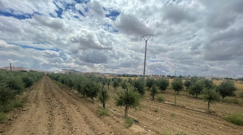 Toledo - Mora - 248m2