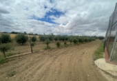 Chalet independiente con terreno en venta en la España, Mora, ref: TR252306 foto