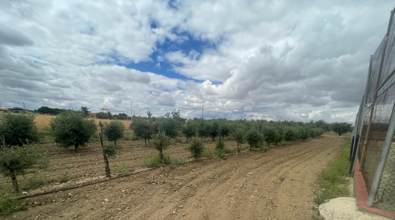 Toledo - Mora - 248m2