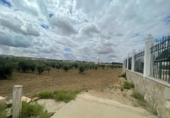 Chalet independiente con terreno en venta en la España, Mora, ref: TR252306 foto