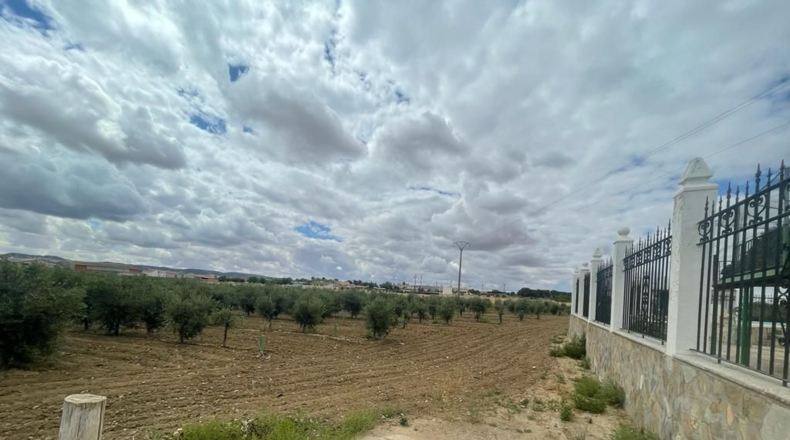 Toledo - Mora - 248m2