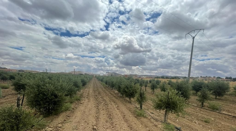 Toledo - Mora - 248m2