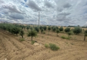 Chalet independiente con terreno en venta en la España, Mora, ref: TR252306 foto