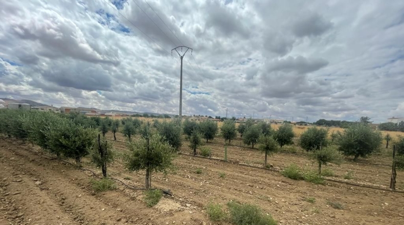 Toledo - Mora - 248m2