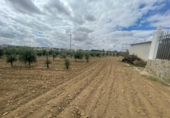 Chalet independiente con terreno en venta en la España, Mora, ref: TR252306 foto