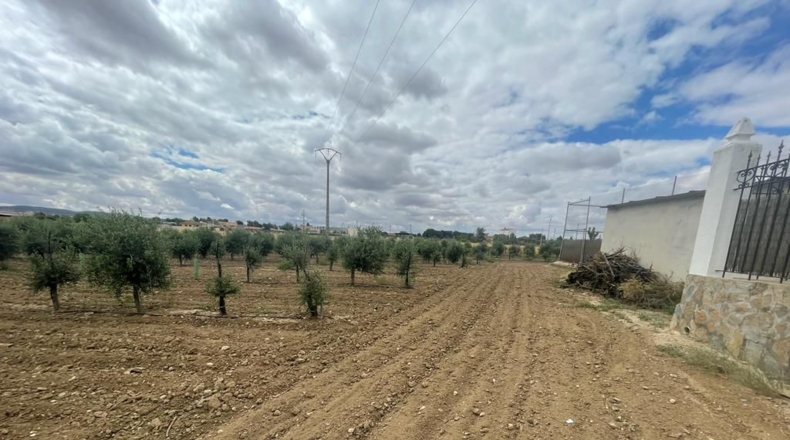 Toledo - Mora - 248m2