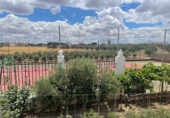 Chalet independiente con terreno en venta en la España, Mora, ref: TR252306 foto