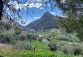 Masia amb terreny en venda a la España, Oria, ref.: TR260882 foto