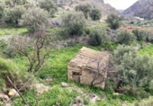 Masia amb terreny en venda a la España, Oria, ref.: TR260882 foto
