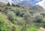 Masia amb terreny en venda a la España, Oria, ref.: TR260882 foto