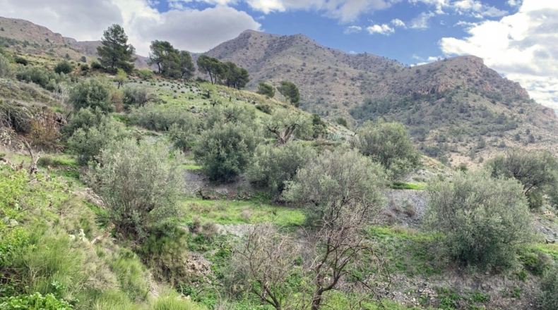 Almería - Oria - 1500m2