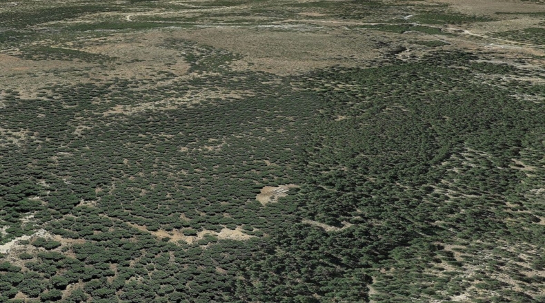 Almería - Serón - 48000m2
