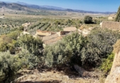 Masia amb terreny en venda a Oria ref.: TR260895 foto