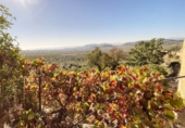 Masia amb terreny en venda a Oria ref.: TR260895 foto