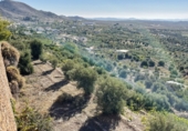 Masia amb terreny en venda a Oria ref.: TR260895 foto