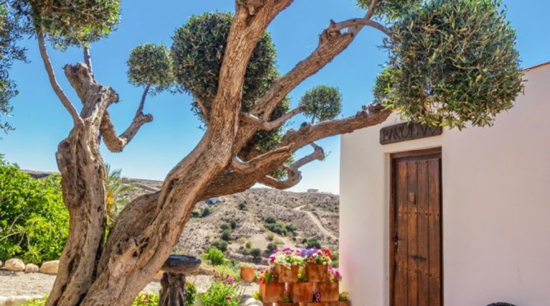 Almería - Oria - 8000m2