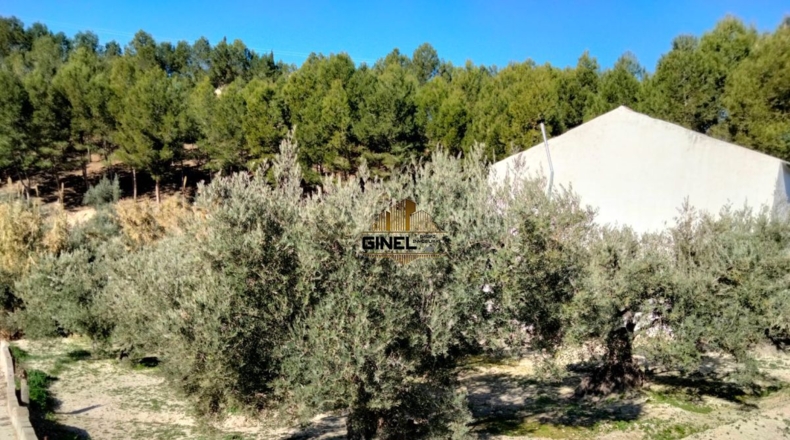 Jaén - Puente Jontoya - 1000m2