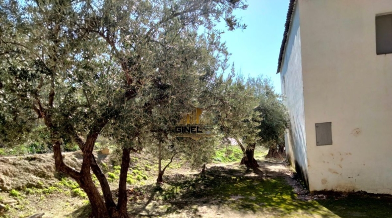 Jaén - Puente Jontoya - 1000m2