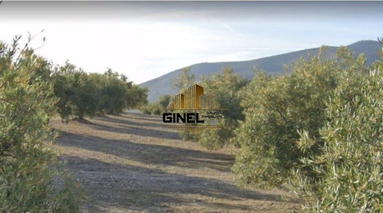 Jaen - Jaén - 25618m2