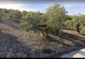 Finca rústica en venda a Jaén ref.: TR262406 foto