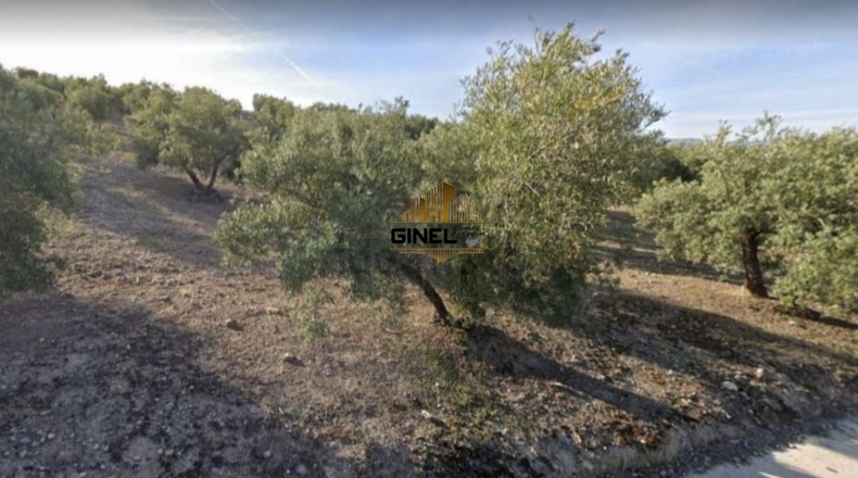 Jaen - Jaén - 25618m2