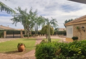 Xalet independent amb terreny en venda a Elx ref.: TR63697 foto