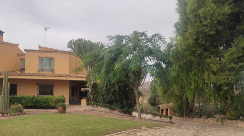 Alicante - Matola - P2 - 5500m2