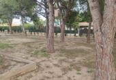 Xalet independent amb terreny en venda a Elx ref.: TR63697 foto