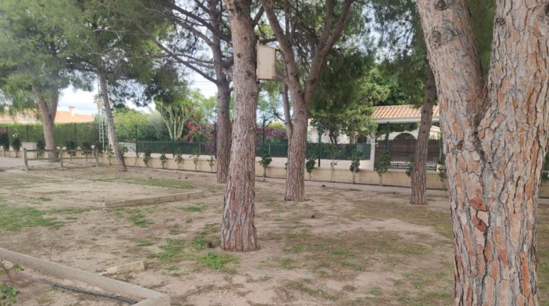 Alicante - Matola - P2 - 5500m2