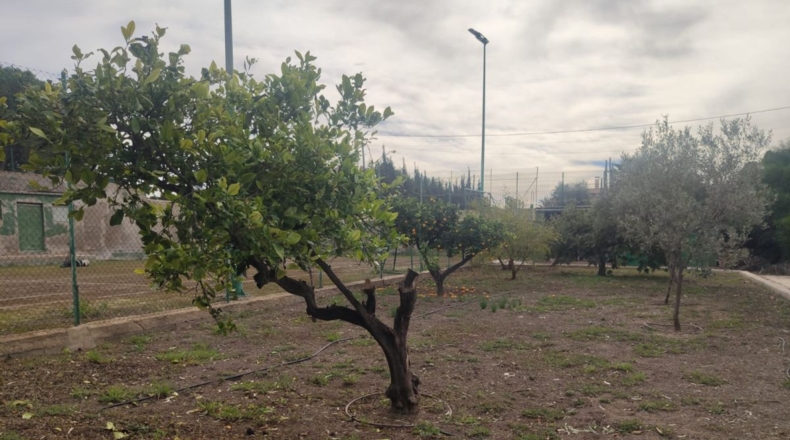 Alicante - Matola - P2 - 5500m2