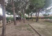 Xalet independent amb terreny en venda a Elx ref.: TR63697 foto