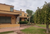 Xalet independent amb terreny en venda a Elx ref.: TR63697 foto