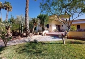 Chalet independiente con terreno en venta en Elche ref: TR348596 foto
