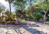 Chalet independiente con terreno en venta en Elche ref: TR348596 foto