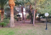 Chalet independiente con terreno en venta en Elche ref: TR348596 foto
