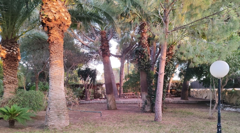 Alicante - Elche - 430m2
