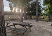 Chalet independiente con terreno en venta en Elche ref: TR348596 foto