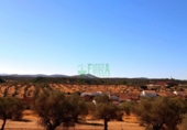 Дом с участком на продажу в городе Bodonal de la Sierra. Фото