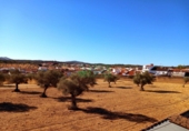 Дом с участком на продажу в городе Bodonal de la Sierra. Фото