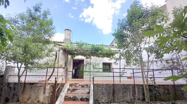 Badajoz - Fuentes de León - 383m2