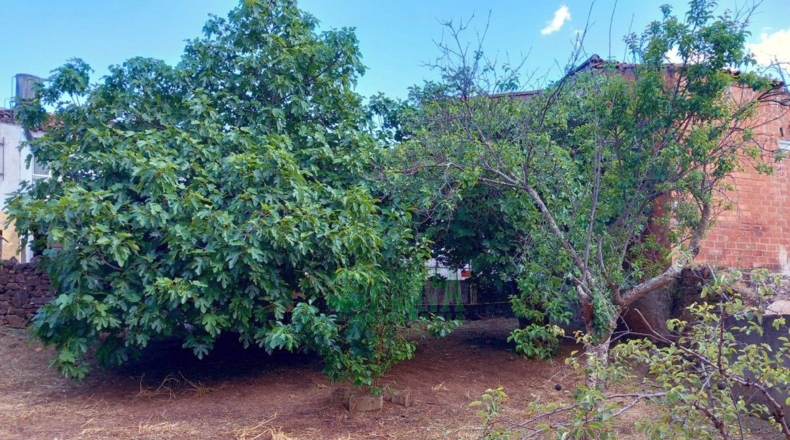 Badajoz - Fuentes de León - 383m2