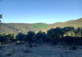 Non-developable land for sale in Arroyomolinos de León ref: TR298207 photo