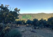 Non-developable land for sale in Arroyomolinos de León ref: TR298207 photo