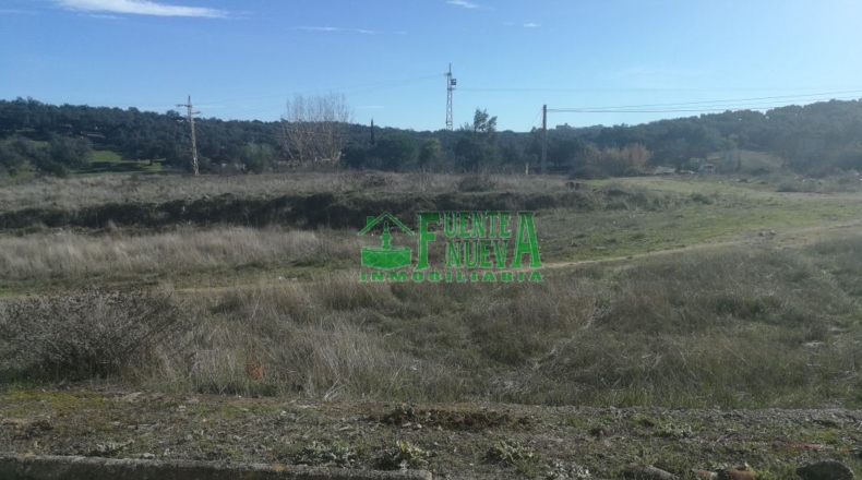 Badajoz - Bodonal de la Sierra - 303m2