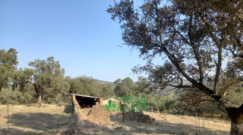 Huelva - Арройомолинос-де-Леон - 113591m2