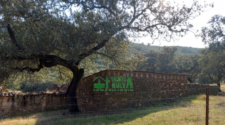 Huelva - Арройомолинос-де-Леон - 113591m2