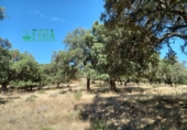 Земля на продажу у города Arroyomolinos de León. Фото